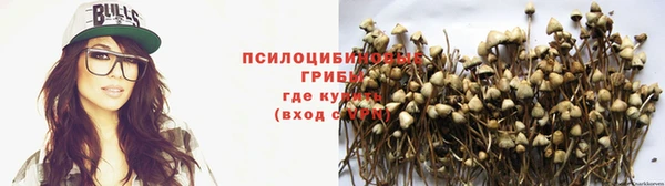 бутират Арсеньев