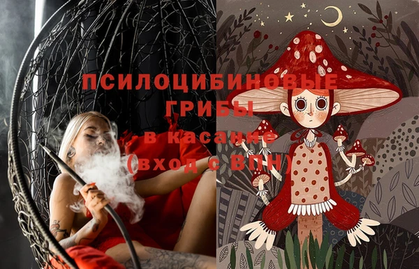 бутират Арсеньев