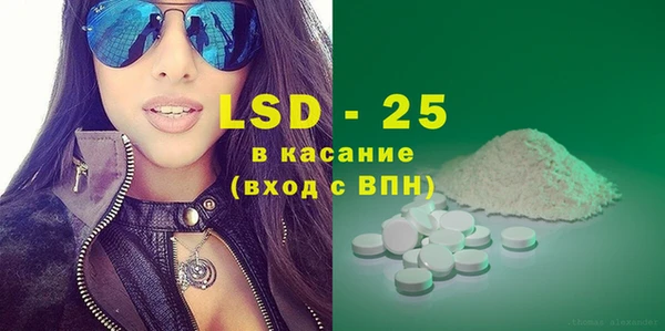 прущие грибы Аркадак