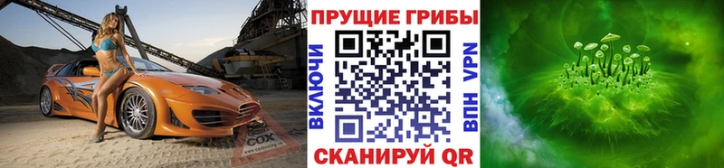 наркошоп  Аркадак  mega ССЫЛКА  Псилоцибиновые грибы Psilocybe 
